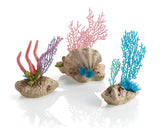 biOrb Korallenfächer & Muschel Set